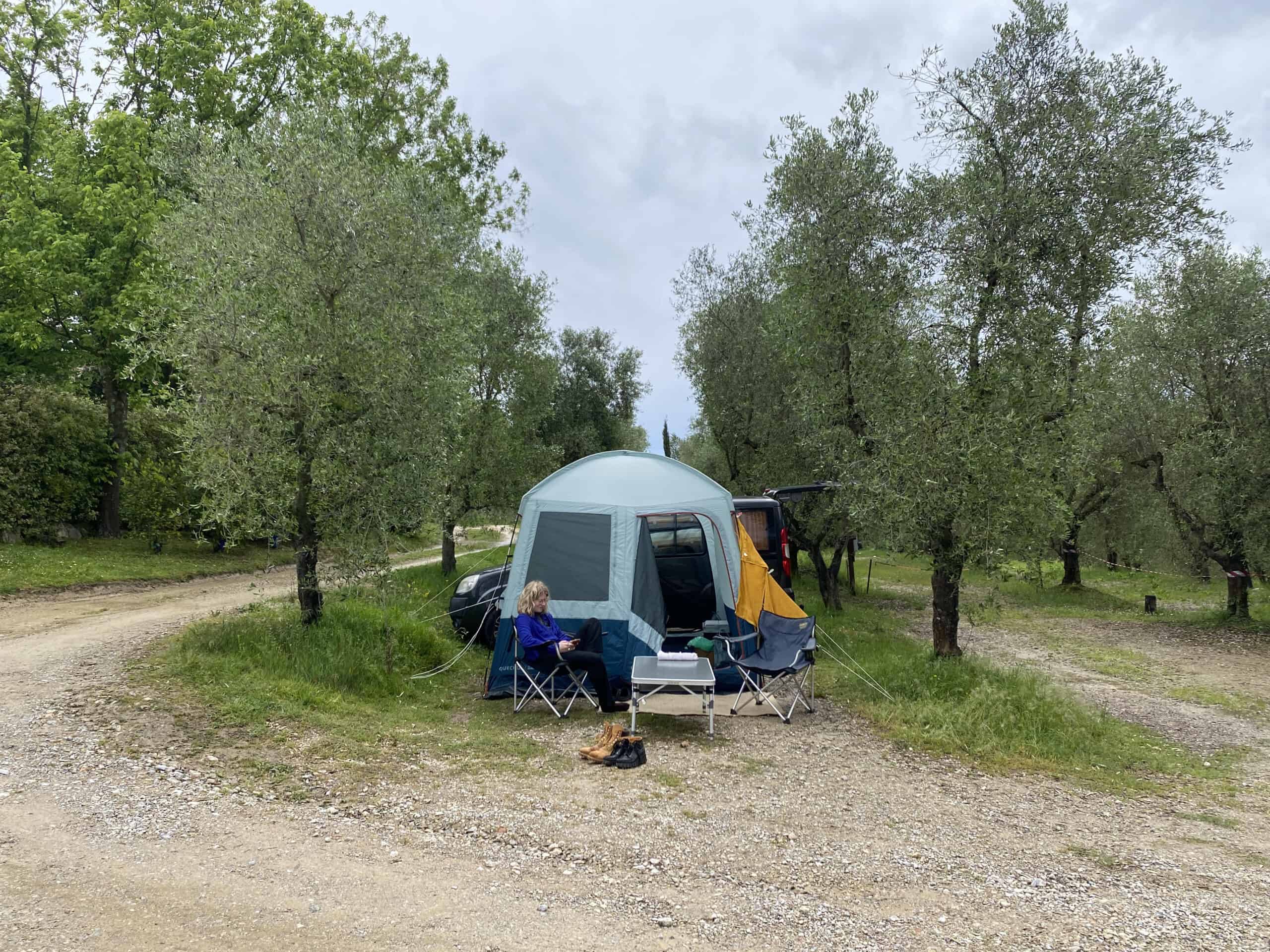 Il Sambuco